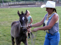 Hostess Trish brings out a two month old