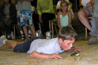 the frog races